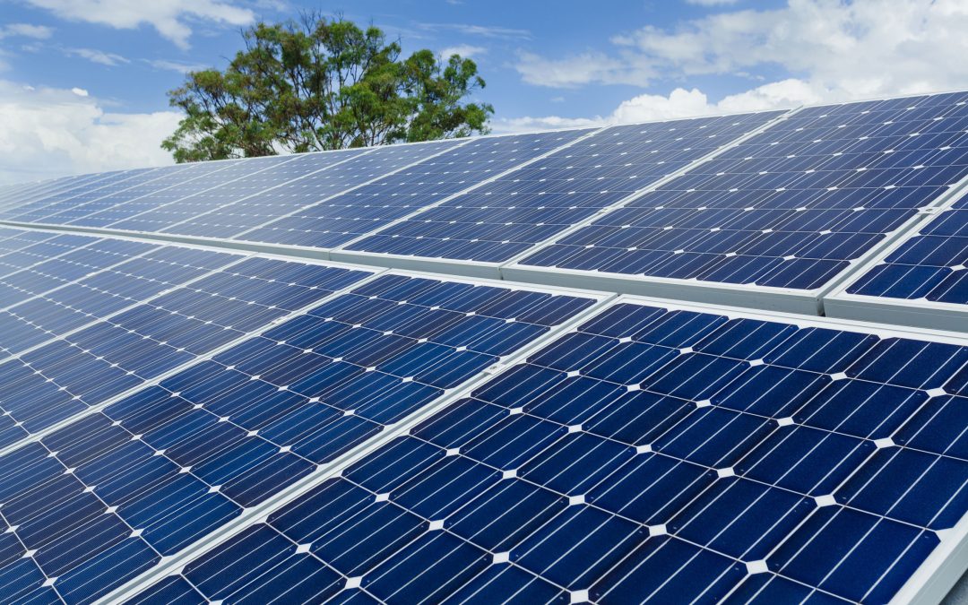 Coöperatie het Koelhuis Krijgt 516 zonnepanelen
