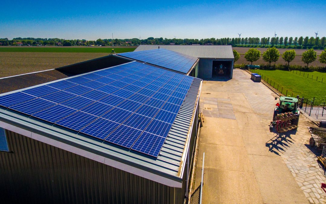 Zonnepanelen van Bluehome komen goed uit de test