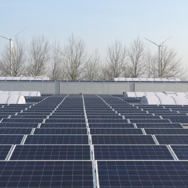 Bluehome legt 468 zonnepanelen bij Zevij-Necomij